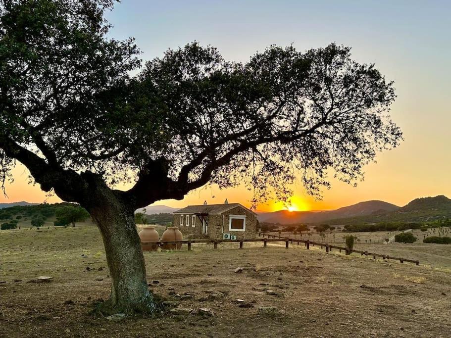 Finca La Alcolehuela En Parque Natural De Despenaperros Санта Елена Екстериор снимка