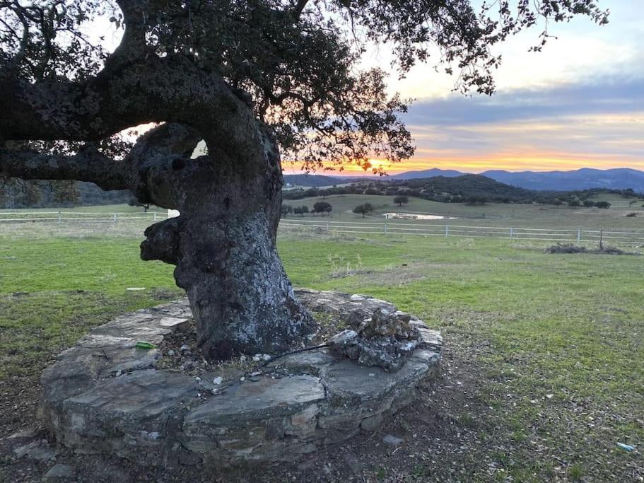Finca La Alcolehuela En Parque Natural De Despenaperros Санта Елена Екстериор снимка