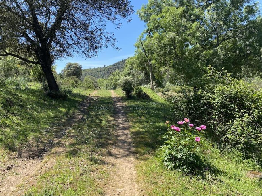 Finca La Alcolehuela En Parque Natural De Despenaperros Санта Елена Екстериор снимка
