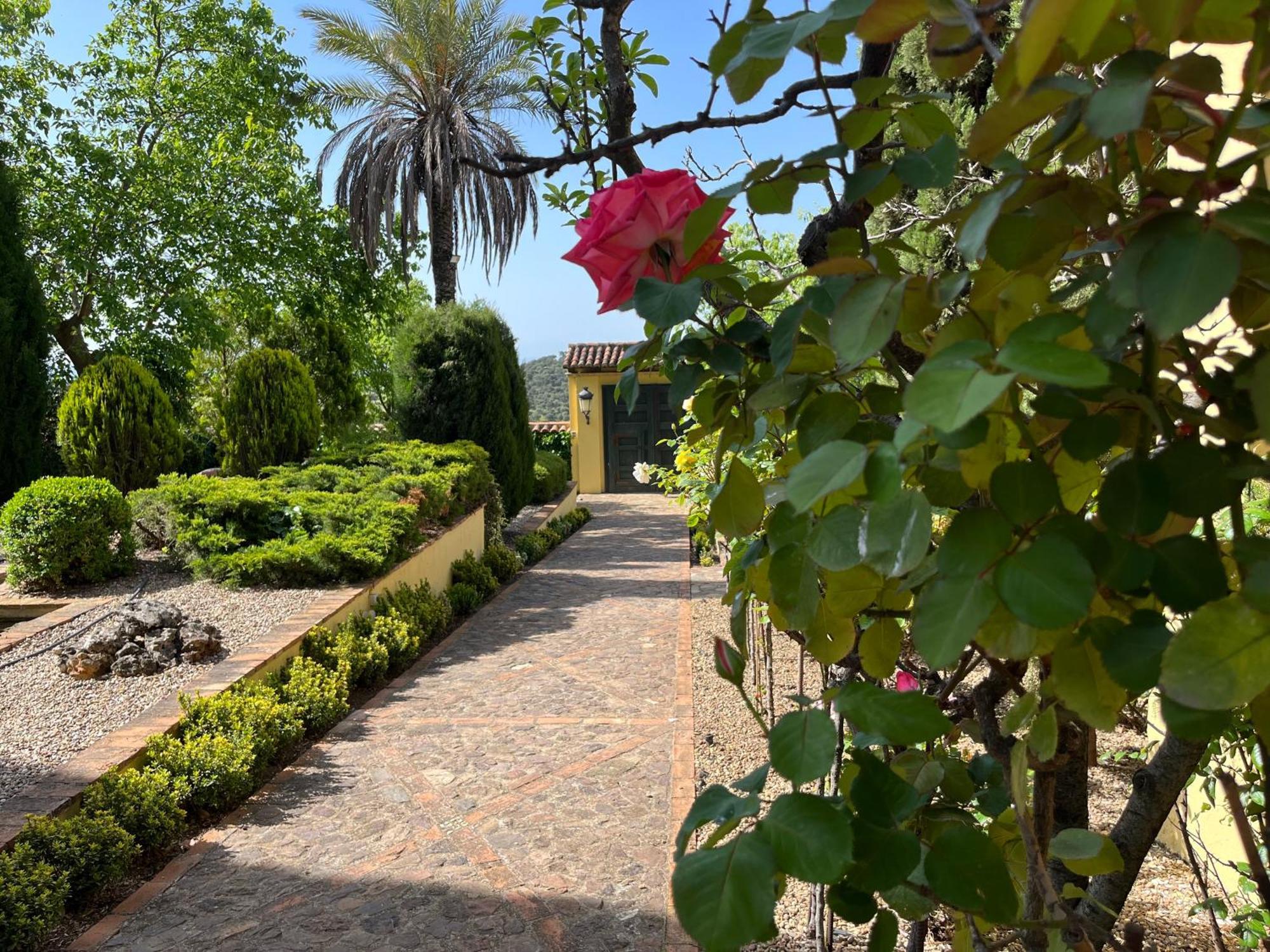 Finca La Alcolehuela En Parque Natural De Despenaperros Санта Елена Екстериор снимка